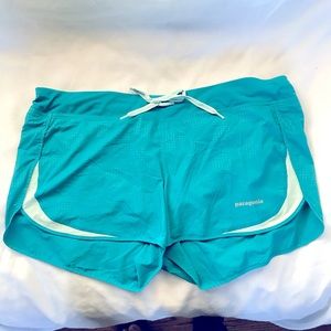 Patagonia Women’s BlueShorts Size L